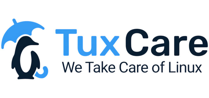 Un sondaggio di TuxCare sulla sicurezza a livello enterprise di Linux mostra come la maggioranza gestisce tutto… A mano!