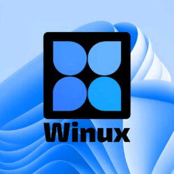 Winux: la distribuzione GNU/Linux che imita Windows 11 Winux
