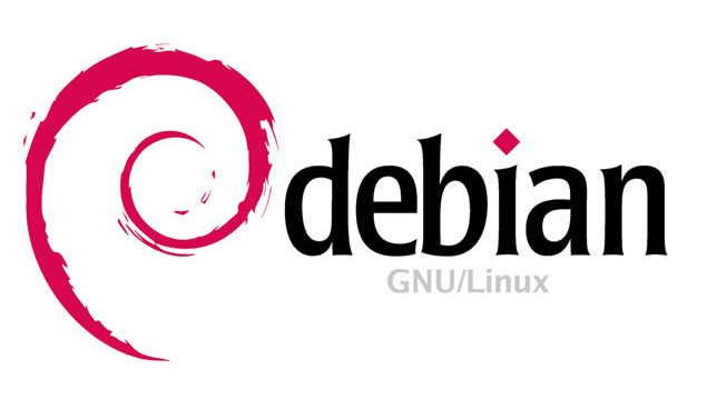 (Solved) Fdisk command not found Debian 10