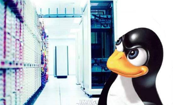 Top 5 delle distribuzioni Linux-server