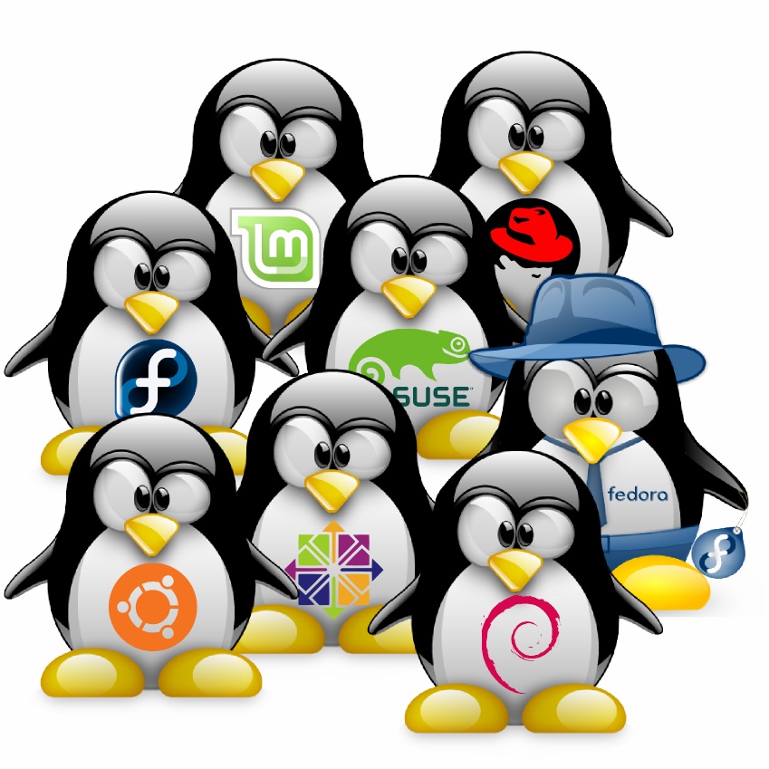 Le migliori distribuzioni GNU/Linux per principianti