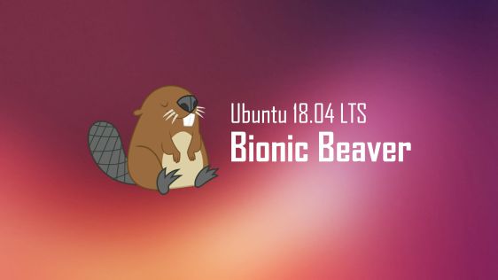 Ubuntu 18.04 LTS Bionic Beaver