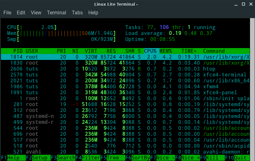 Linux Lite htop Output